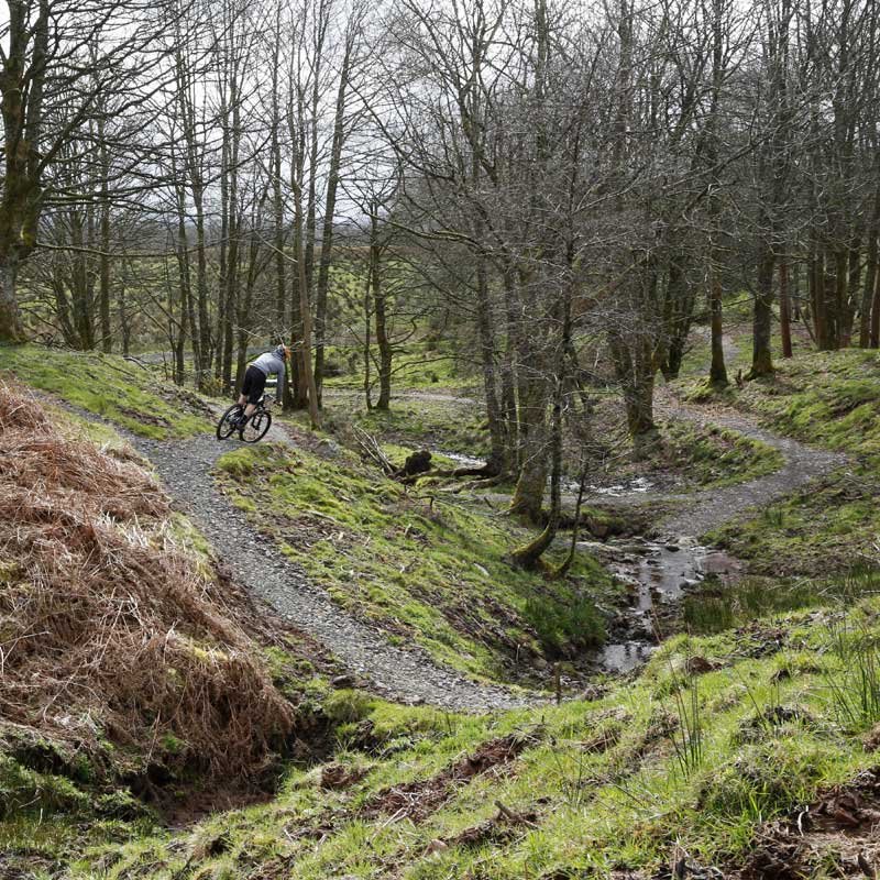 Trail Riding